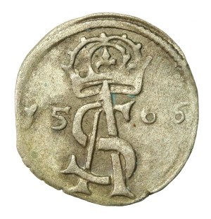 Sigismund II Augustus, Dwudenar 1566, Vilnius (672)