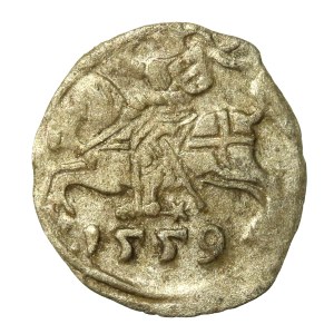 Zygmunt II August, Denar 1559, Wilno (676)