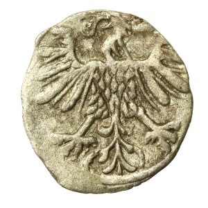 Zygmunt II August, Denar 1559, Wilno (676)