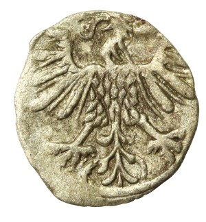 Sigismund II Augustus, Denarius 1559, Vilnius (676)