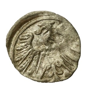 Zygmunt II August, Denar 1558, Wilno (677)