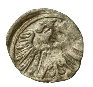 Sigismund II Augustus, Denarius 1558, Vilnius (677)