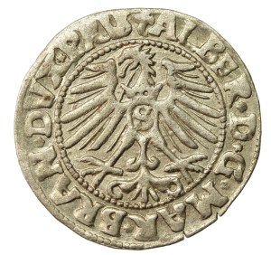 Prusy Książęce, Albrecht Hohenzollern, Grosz 1547, Królewiec - PRVS (1105)