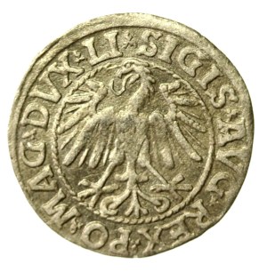 Sigismund II Augustus, Half-penny 1546, Vilnius - LI/LITV (1107)