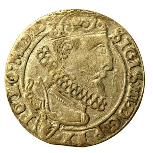 Zygmunt III Waza, Szóstak 1625, Kraków - Półkozic, REX-POLO - rzadki (908)
