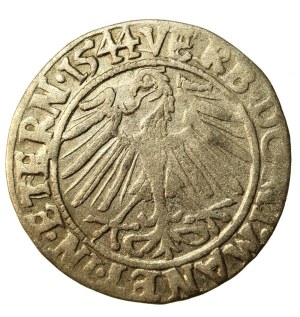 Silesia, Ks. Legnicko-Brzesko-Wołowskie, Frederick II Legnicki, penny 1544, Brzeg (918)