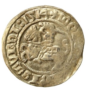 Sigismund I the Old, Half-penny 1514, Vilnius (921)