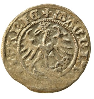 Sigismund I the Old, Half-penny 1514, Vilnius (921)