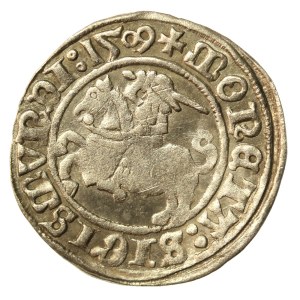 Sigismund I the Old, Half-penny 1509, Vilnius (922)
