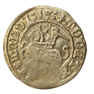 Zygmunt I Stary, Półgrosz 1513 (923)