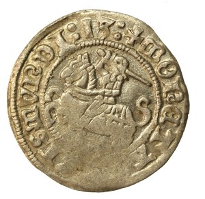 Sigismund I the Old, Half-penny 1513 (923)