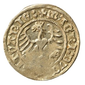 Zygmunt I Stary, Półgrosz 1513 (923)