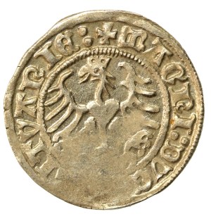 Sigismund I the Old, Half-penny 1513 (923)