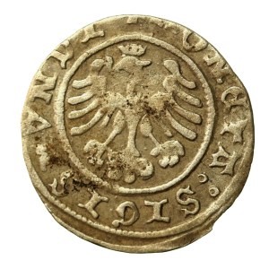 Zygmunt I Stary, Półgrosz 1507, Kraków - zwykła 7 (956)