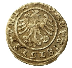 Zygmunt I Stary, Półgrosz 1507, Kraków - zwykła 7 (956)