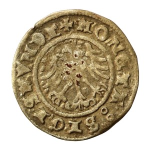 Zygmunt I Stary, Półgrosz 1509, Kraków (958)