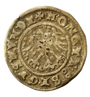 Sigismund I the Old, Half-penny 1509, Cracow (958)
