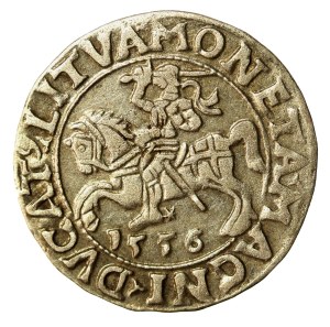 Sigismund II Augustus, Half-penny 1556 Vilnius, LI/LITVA (959)