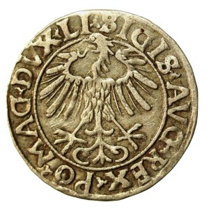 Zygmunt II August, Półgrosz 1556 Wilno, LI/LITVA (959)