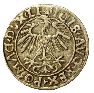 Sigismund II Augustus, Half-penny 1556 Vilnius, LI/LITVA (959)