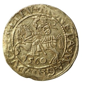 Zygmunt II August, Półgrosz 1560, Wilno.L/LITV (960)