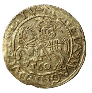 Sigismund II Augustus, Half-penny 1560, Vilnius.L/LITV (960)
