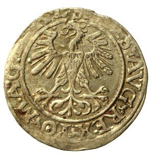 Sigismund II Augustus, Half-penny 1560, Vilnius.L/LITV (960)