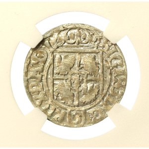Sigismund III. Vasa, Półtorak 1621, Bydgoszcz (988)