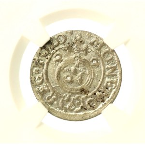 Zygmunt III Waza, Półtorak 1622, Bydgoszcz (989)