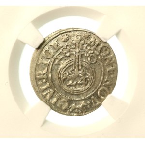 Zygmunt III Waza, półtorak 1620, Ryga, herb Rygi (992)
