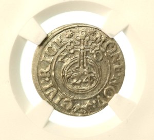 Sigismund III Vasa, half-tone 1620, Riga, coat of arms of Riga (992)
