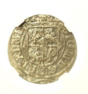 Sigismund III Vasa, half-tone 1620, Riga, coat of arms of Riga (992)