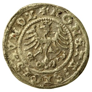 Sigismund I the Old, Half-penny 1508, Cracow (924)
