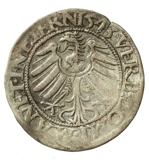 Silesia, Ks. Legnicko-Brzesko-Wołowskie, Frederick II Legnicki, penny 1543, Brzeg (782)