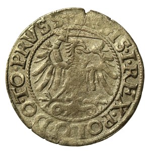 Sigismund I the Old, 1540 penny, Elblag (835)