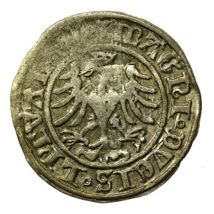 Zygmunt I Stary, Półgrosz 1509, Wilno. Wczesny (838)