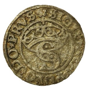 Ducal Prussia, shell, 1530, Königsberg (841)
