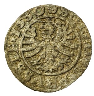 Ducal Prussia, shell, 1530, Königsberg (841)