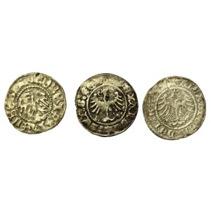 Jan Olbracht i inni. Zestaw półgrosze. Razem 3 sztuki (846)