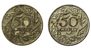 II RP, zestaw 50 groszy 1938. Razem 2 szt. (687)