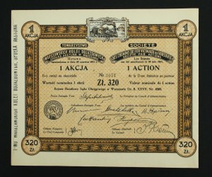 Akcyjne Warszawskich Dróg Żelaznych Dojazdowych, 320 zł, Emisja II (179)