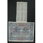 Polskie Fabryki Maszyn i Wagonów L.Zieleniewski i S.A. - 100 zloty 1926 (182)