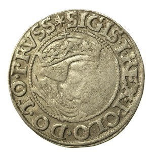 Zygmunt I Stary, Grosz 1537, Gdańsk. Rzadki rocznik (264)