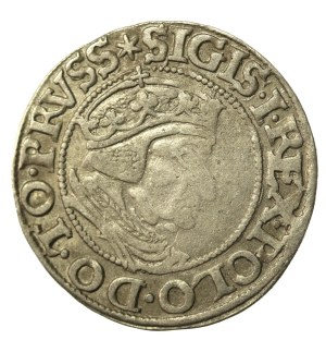 Sigismund I the Old, Grosz 1537, Gdansk. A rare vintage (264)