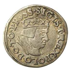 Zygmunt I Stary, Trojak 1537, Gdańsk (269)