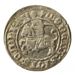 Zygmunt I Stary, Półgrosz 1510, Wilno (210)