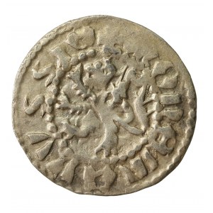 Władysław II Jagiełło, Kwartnik ruski bez daty, Lwów (211)