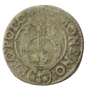 Zygmunt III Waza, Półtorak, naśladownictwo (213)