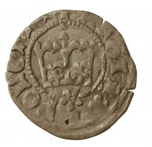 Casimir IV Jagiellonian, Half-penny without date, Cracow (218)