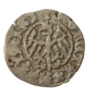 Kazimierz IV Jagiellończyk, Półgrosz bez daty, Kraków (218)